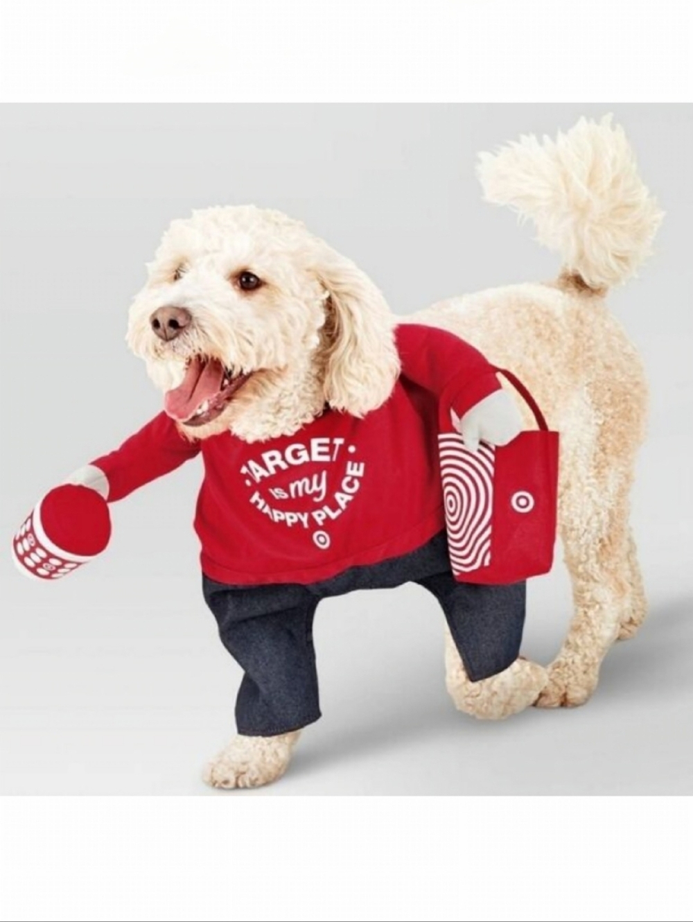 Hyde & Eek Halloween Target Shopper Walker Pet Frontal Costume Large New OOS
